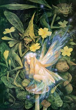 brianfroud12.jpg